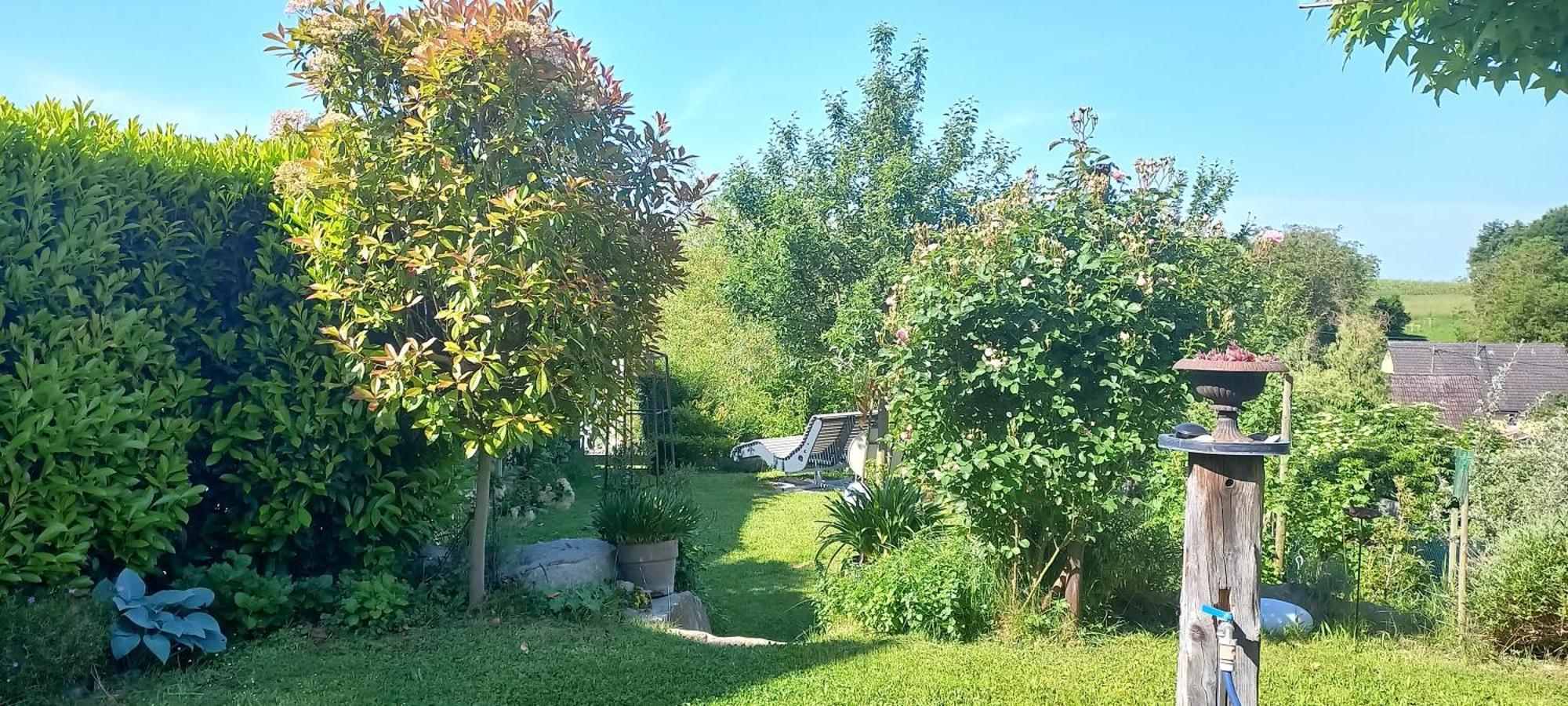 Ferienwohnung Rebgaertle Britzingen 外观 照片